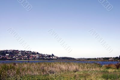Sydney Suburb Landscape