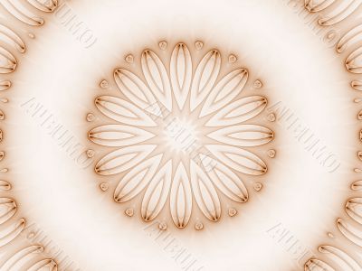 Petals Shaded against Light