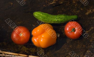 Vegetables for salad