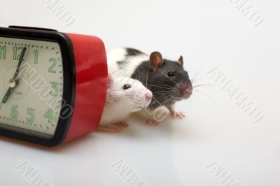 Isn`t it time to have lunch?