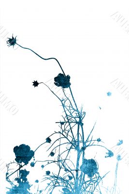floral style textures
