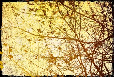 floral style textures