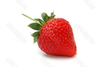 Single Strawberry
