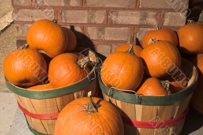 Pumpkins