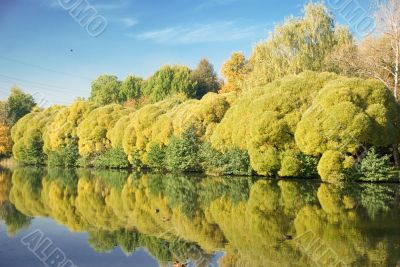 Park landscape