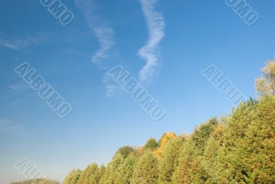 Park landscape