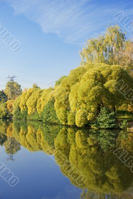 Park landscape