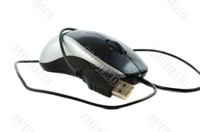Computer_mouse_1