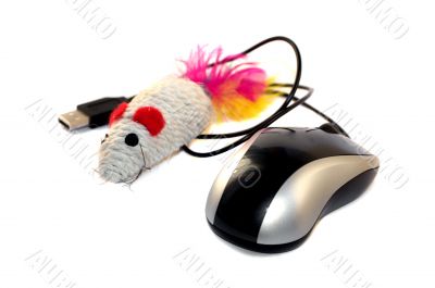 Computer_mouse_toy_mouse_1
