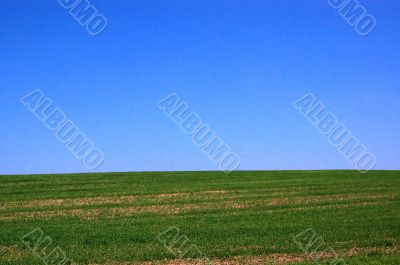 blue sky on grass