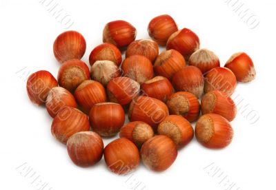 hazelnuts #2