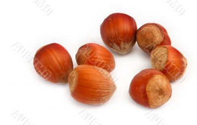 hazelnuts