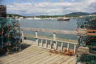 Lobster traps on wharf, harbor