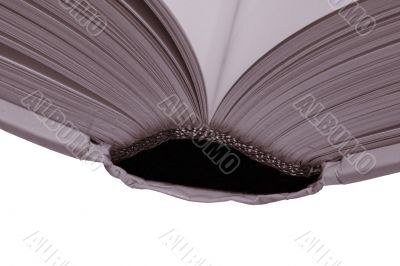 Open Book