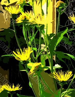 Contrasty abstract of inula