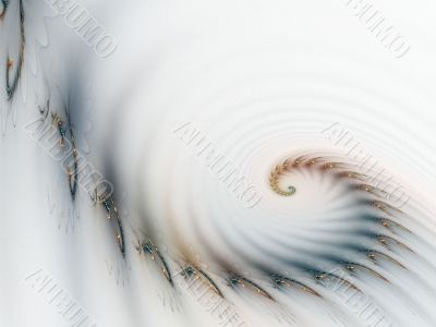 Wisp and Curl against White