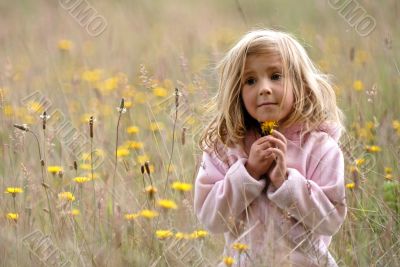 little girl in the filds flowers