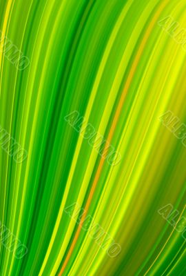 Absrtact lines