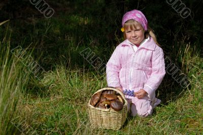 little girl with basket of mushrooms