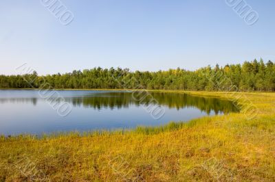 Small wood lake