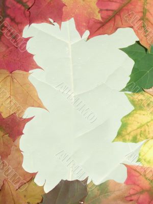 autumn frame