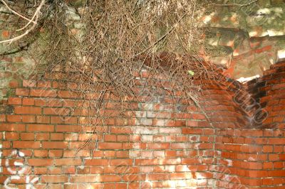 Life on the remains of the war