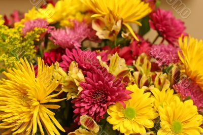 Purple and Yellow Bouquet