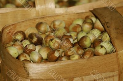 Hazelnuts