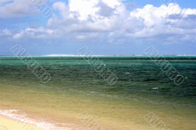 TRopical beach