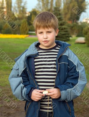 little boy in park