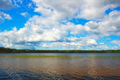 Lake in-field. A bright summer sun. White clouds.