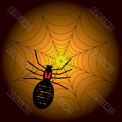 halloween spider