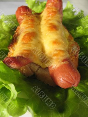 Two frankfurters with a cheese