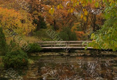 Autumnal park