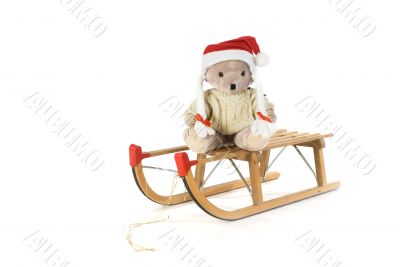 christmas bear