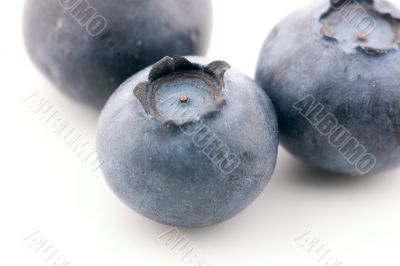 Blueberries