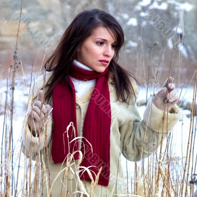 In the forest