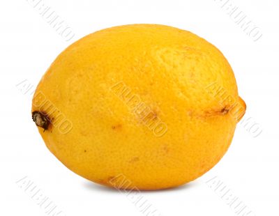 lemon close-up