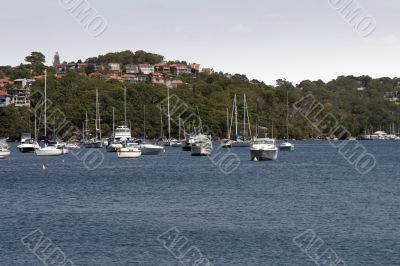Sydney Suburb