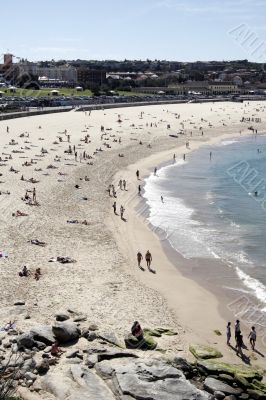 Bondi Beach