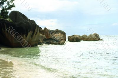 Tropical stones