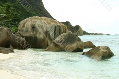 Tropical stones