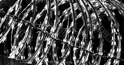 Razor wire
