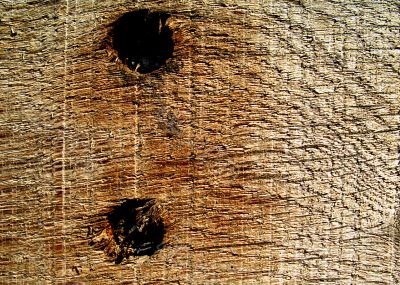 wood grain and two screwholes