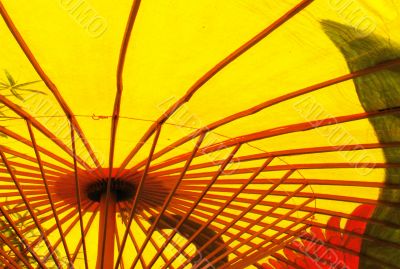 Detail from inside parasol