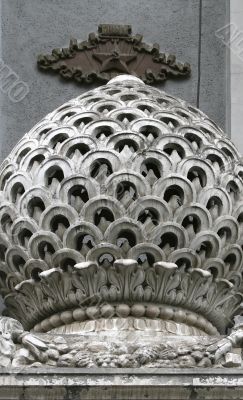 Flower from the concrete