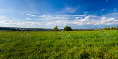 Beautiful summer landscape. The nature. Panorama
