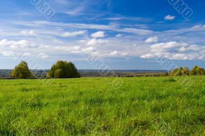 Beautiful summer landscape. The nature.
