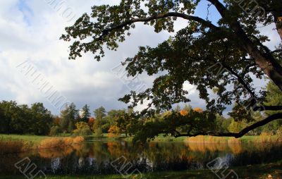 Colorful old autumn park