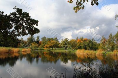 Colorful old autumn park